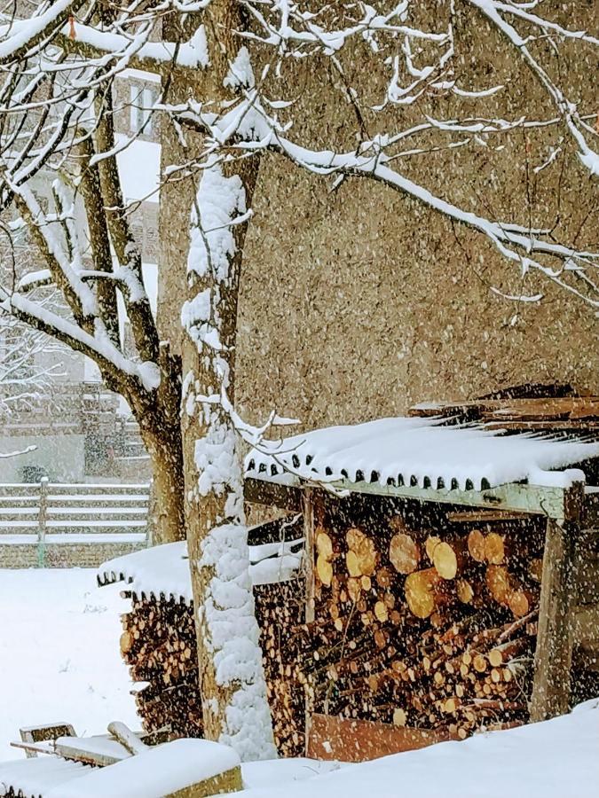 Le Bifore In Valle Predazzo Dış mekan fotoğraf